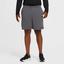 Nike Mens Dri-FIT 7 Inch Training Shorts - Iron Grey - thumbnail image 1