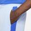 Nike Mens Dri-FIT Rafa ADV Shorts - Aluminium/Hyper Royal - thumbnail image 6
