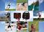 Net Playz Smart Pro Speed Vision Radar - thumbnail image 6