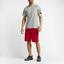 Nike Mens 10" Fly 2.0 Shorts - Red/Grey - thumbnail image 8