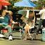 SKLZ SportsBrella / Camping Chair - thumbnail image 4
