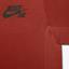 Nike Mens SB Skyline T-Shirt - Cinnabar - thumbnail image 8