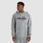 Ellesse Mens Pallonetto Hoodie - Grey Marl - thumbnail image 1