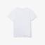 Lacoste Boys Crew Neck T-Shirt - White - thumbnail image 2