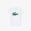 Lacoste Boys Croc T-Shirt - White/Green - thumbnail image 1