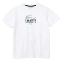Lacoste Boys Crew Neck Crocodile Lettering T-Shirt - White