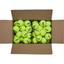 Wilson Triniti Club Tennis Balls - Box of 6 Dozen Balls - thumbnail image 2