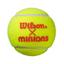 Wilson x Minions Stage 2 Orange Junior Tennis Balls (3 Ball Pack) - thumbnail image 2