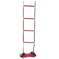 Wilson Coaching Aid (Training Ladder)