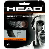 Head Perfect Power 16 (1.30) Squash String Set - Black