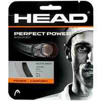 Head Perfect Power 16 (1.30mm) Squash String Set - White