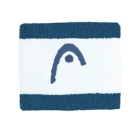 HEAD Wristband Striped 25 - Teal