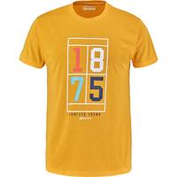 Babolat Mens Exercise Vintage Tee - Heather Yellow