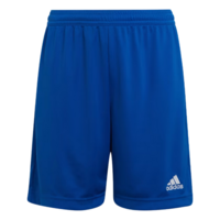 Adidas Boys ENT22 Training Shorts - Blue