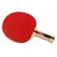 Ping-Pong Tempo Table Tennis Bat - thumbnail image 2