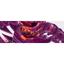 New Balance Fresh Foam Zante Womens (B) Running Shoes - Purple Cactus/Coral Pink - thumbnail image 5